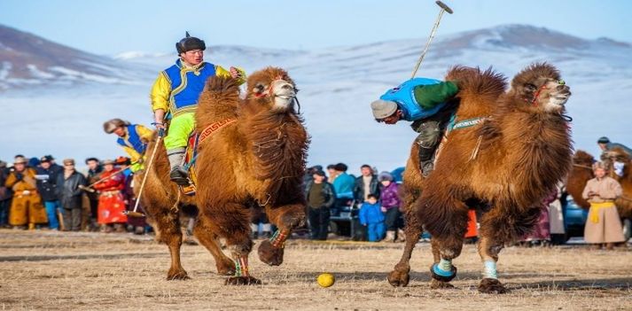 Viaggio in Mongolia per il Festival dei Cammelli con Azonzo Travel  2